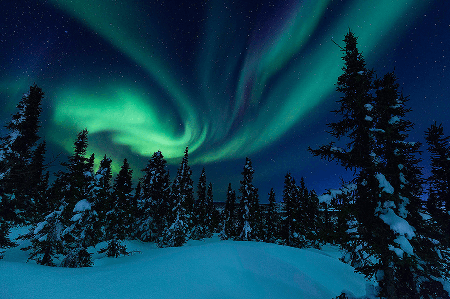 alaska northern lights above forest and snow
