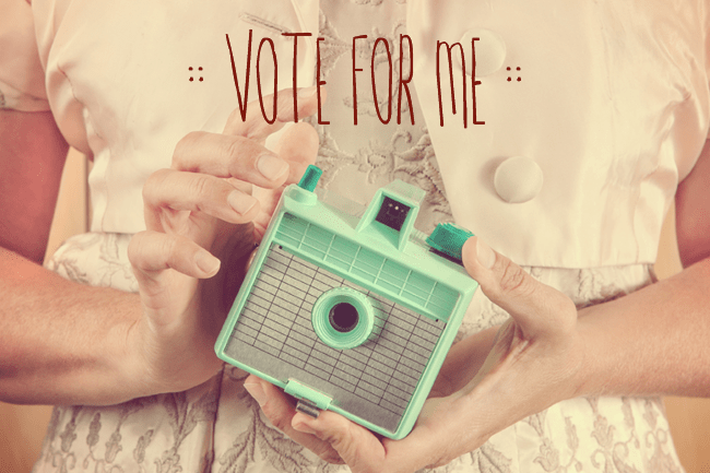 Campaign for Votes Kickass Tips To Help You Win The Next Photography Contest6