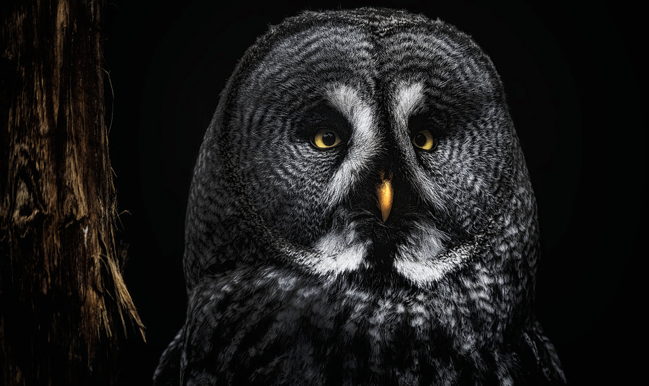 Six Photographers Who Are Celebrating Nature Photography Day Six Photographers Who Are Celebrating Nature Photography Day