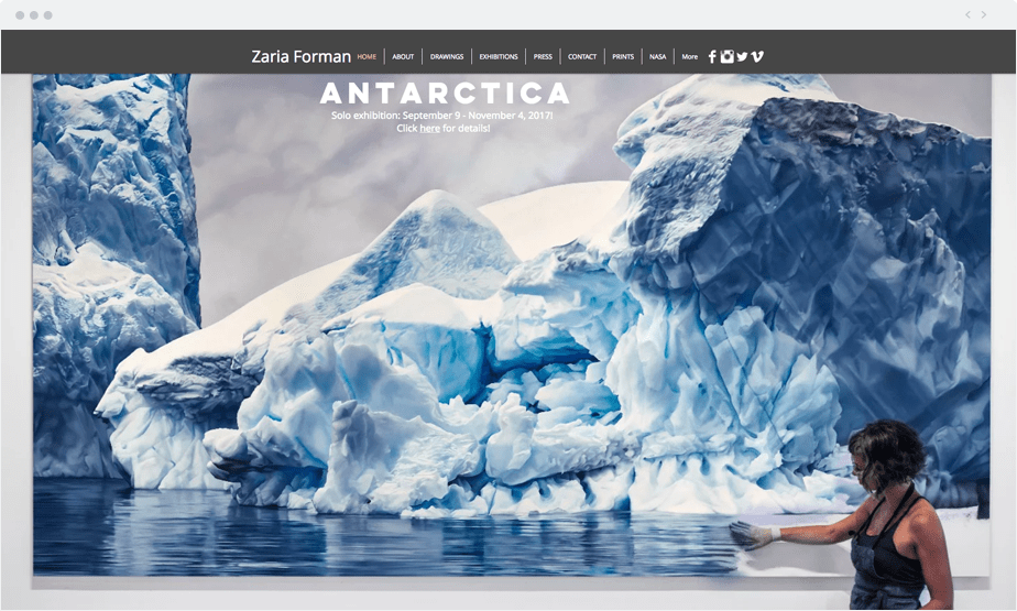 Zaria Forman Wix website