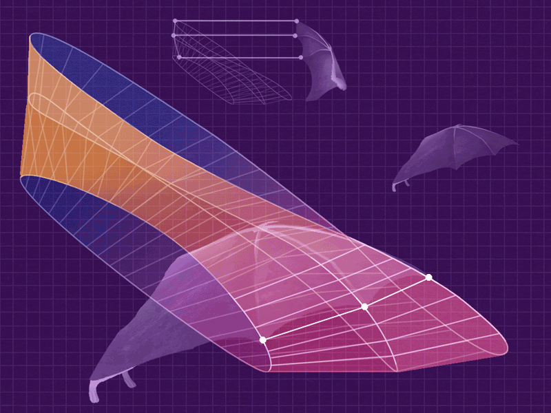 Eleanor Lutz fruit bat flight